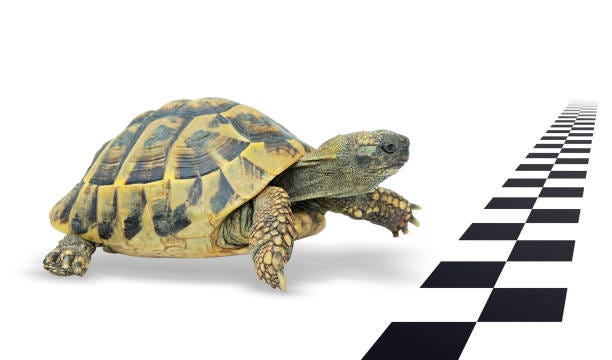 Take Your Time, Go Slowly: New Year Meditations for a Culture Addicted to Speed