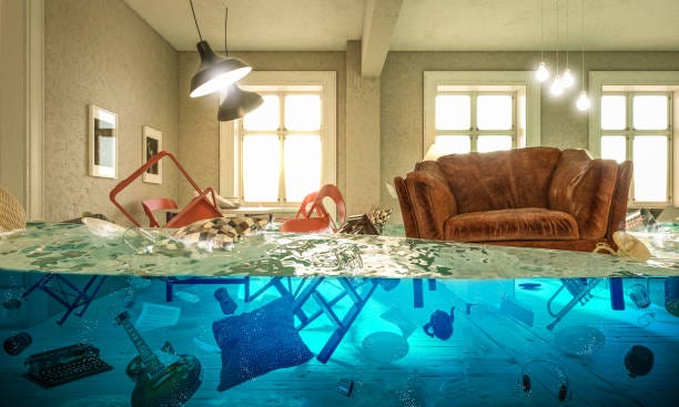 How To Handle Home Flooding — A Professional Guide