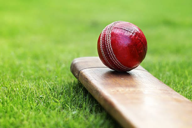 What Startups Can Learn from Cricket 🏏
