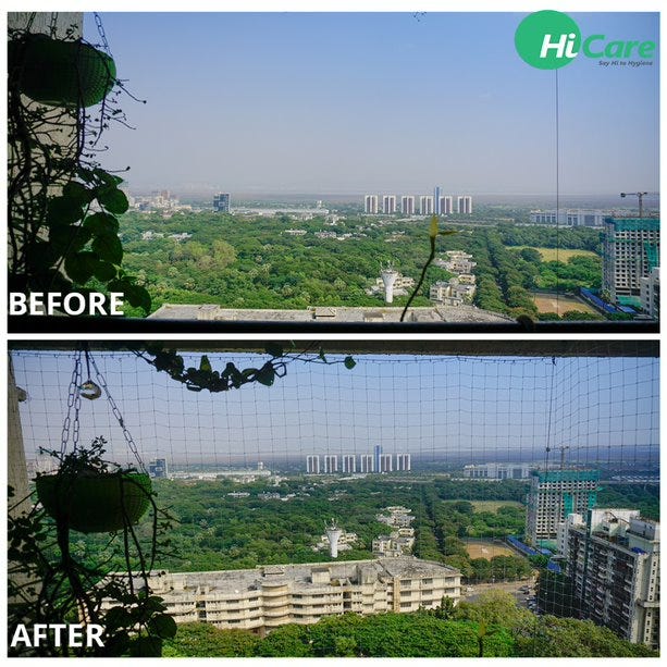 What is the best bird netting for residential use? by Sonalee Jain