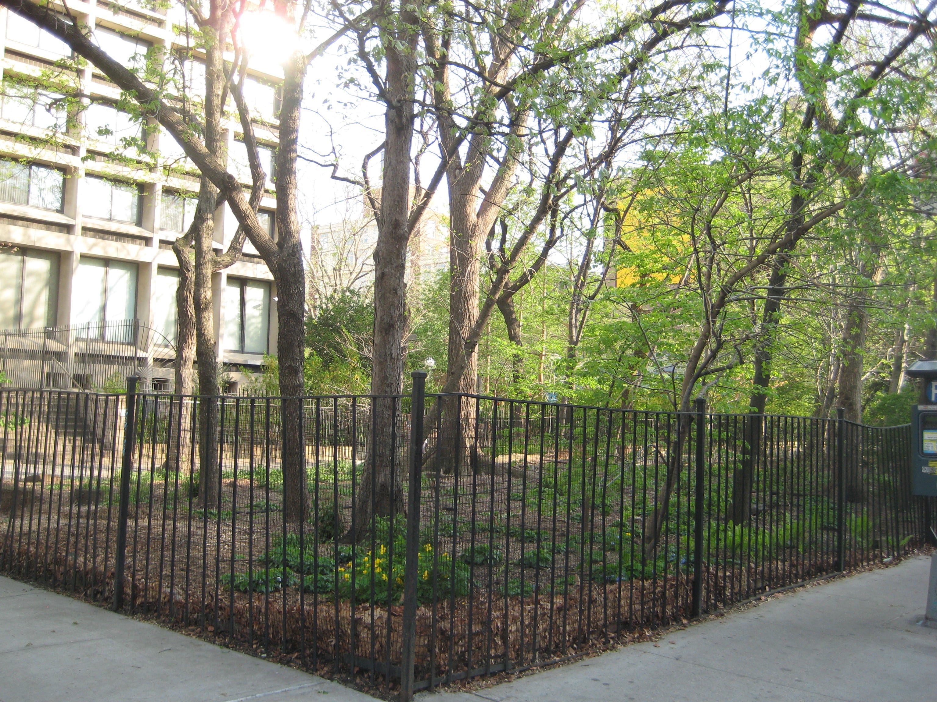 Sofia Coppola's Greenwich Village Garden Estate - Journal - I Want
