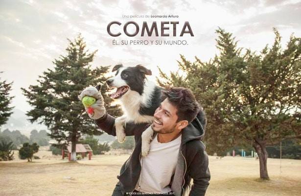 Cometa: él, su perro y su mundo. Roberto es un hombre que pierde su… | by  HAPPY CAN CAMP | Medium