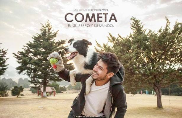 Cometa: él, su perro y su mundo. Roberto es un hombre que pierde su