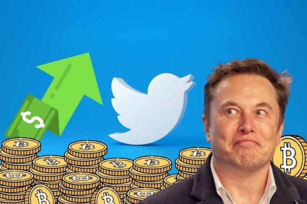 Why Elon Musk Called for a Pause on AI Development | by Valentine