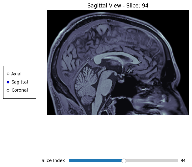 Building a 3D Brain Slicer from Scratch in Python
