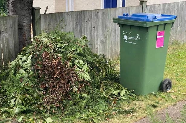 The Ultimate Guide to Garden Refuse Removal: Tips and Tricks | by Pickup  One | Oct, 2023 | Medium