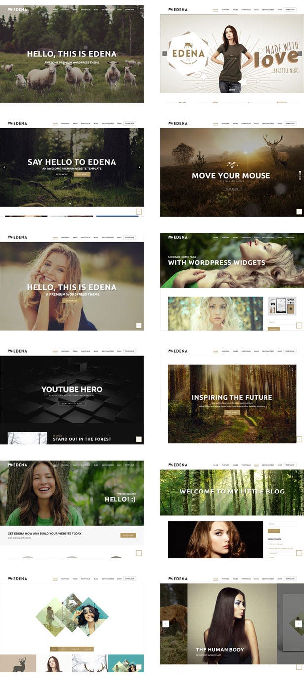 25 Most Popular Multipurpose WordPress Theme | by Shahzaib Khan | Medium