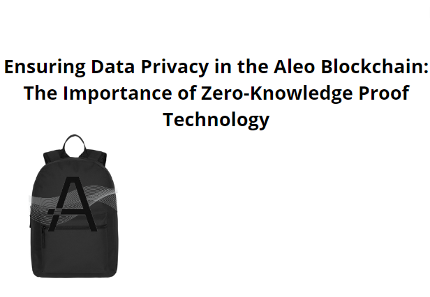 Ensuring Data Privacy in the Aleo Blockchain: The Importance of Zero ...
