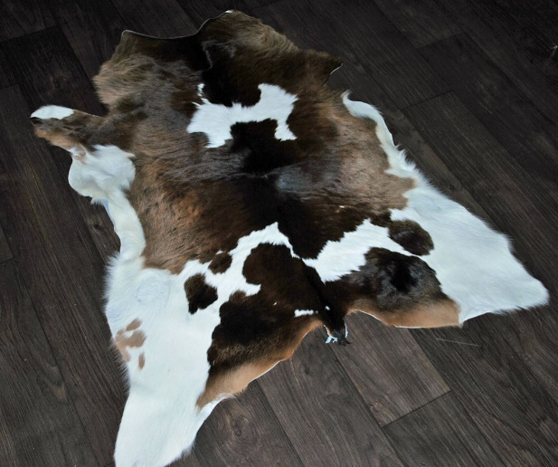 The Fascinating World of Cowhide Understanding the Origins and