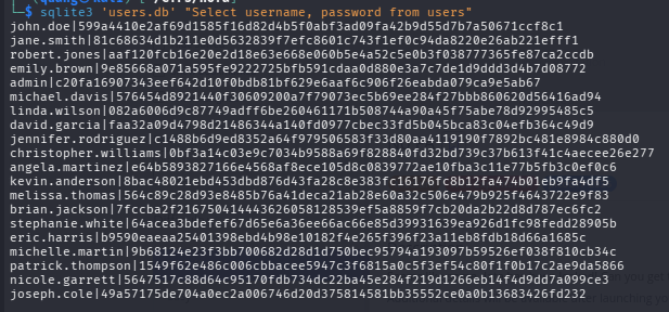 PicoCTF[Write-up] — No FA