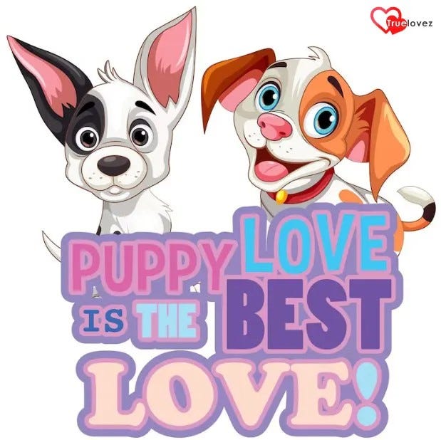 Puppy Love Meaning. As a dog lover, I always find myself… | by True ...