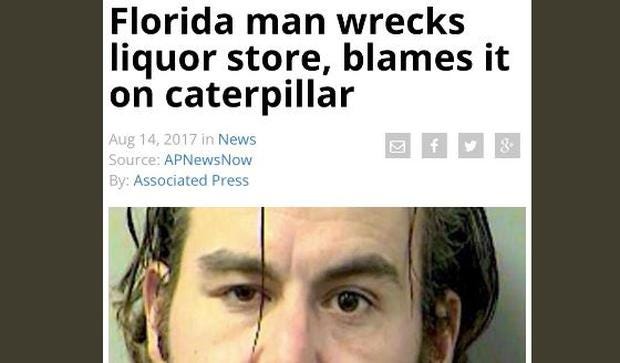 The Psychology Behind The Infamous Florida Man By Yilong Jimmy Ma 