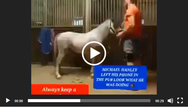 2 Guys 1 Horse Mr Hands Video