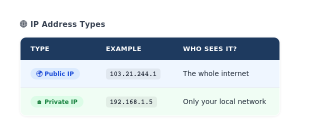 Week 10: The Complete Guide to IP Addressing, Subnetting & DNS