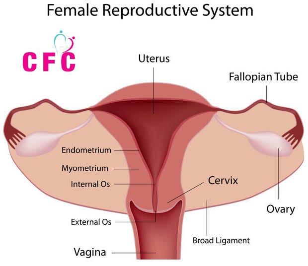 Energy Excercise To Open Blocked Fallopian Tubes Naturally by Chennai