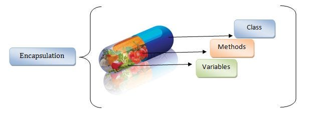 Understanding Encapsulation in Object-Oriented Programming | by Paramee ...