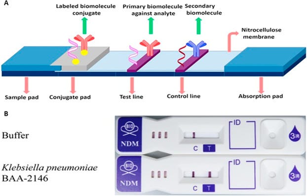 Lateral Flow Assay Market Breakthroughs Transformative Solutions For   1*x77enqfneBBTp7XQmuRJ A 