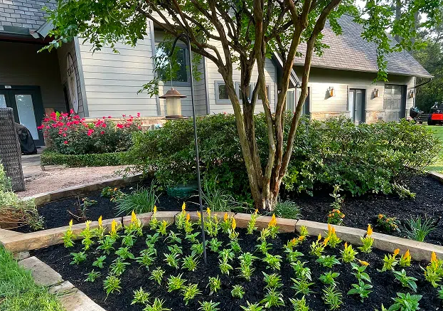 Affordable Landscape Services That Transform Your Outdoor Living Space