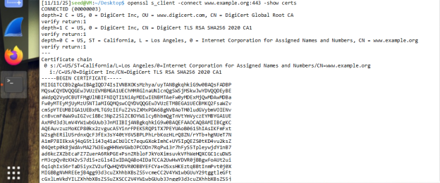 RSA Public-Key Encryption and Signature | Seed Lab | by Roman Zaib | Medium