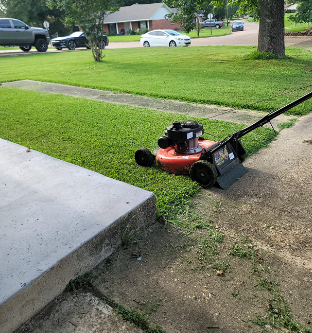 The Best Self-Propelled Electric Lawn Mower for Your Home | by rviwe 99 |  Medium