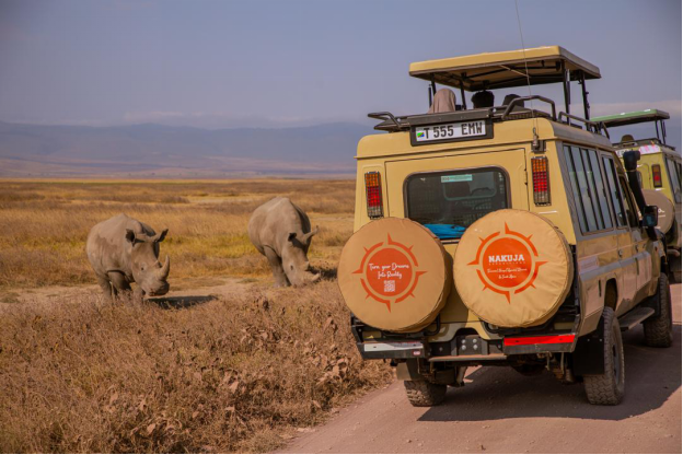What Most First-Time Safari Travelers Wish They Had Known Before Arriving in Africa