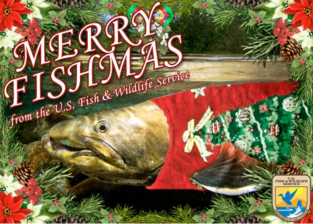 Twelve Days of Fishmas. Twelve Shining Conservation Moments…, by USFWS  Columbia Pacific Northwest Region, USFWS Pacific NW Region
