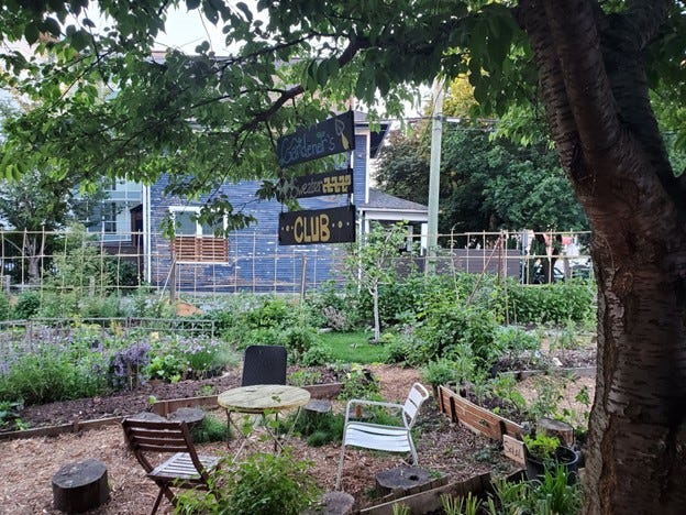 https://medium.com/livingsystemsnetwork/from-volunteer-gardening-to-building-next-gen-distributed-web-apps-my-journey-to-holochain-app-94088da21c50 social preview image