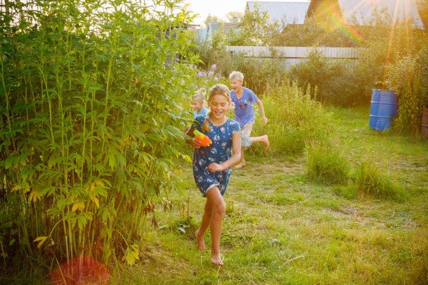 How Foot Traffic Impacts Your Lawn Over Time