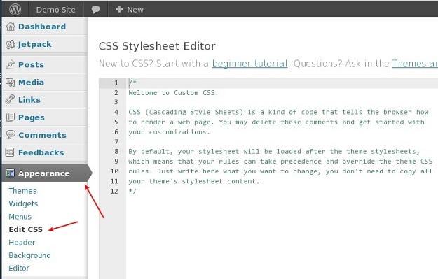 Everything You Need To Know About Style.css Of WordPress Theme | by Evan  Ross | Medium