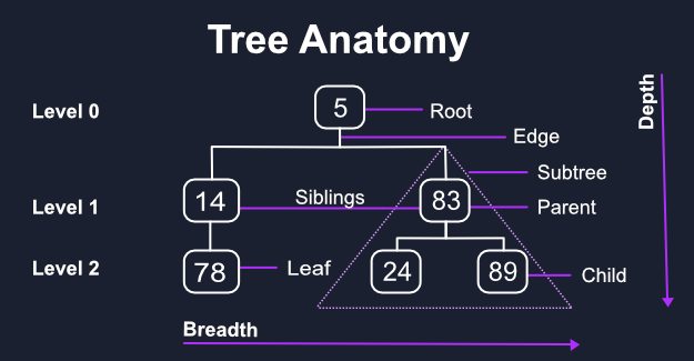 Trees in JavaScript. Trees are hierarchical data structures… | by Build ...