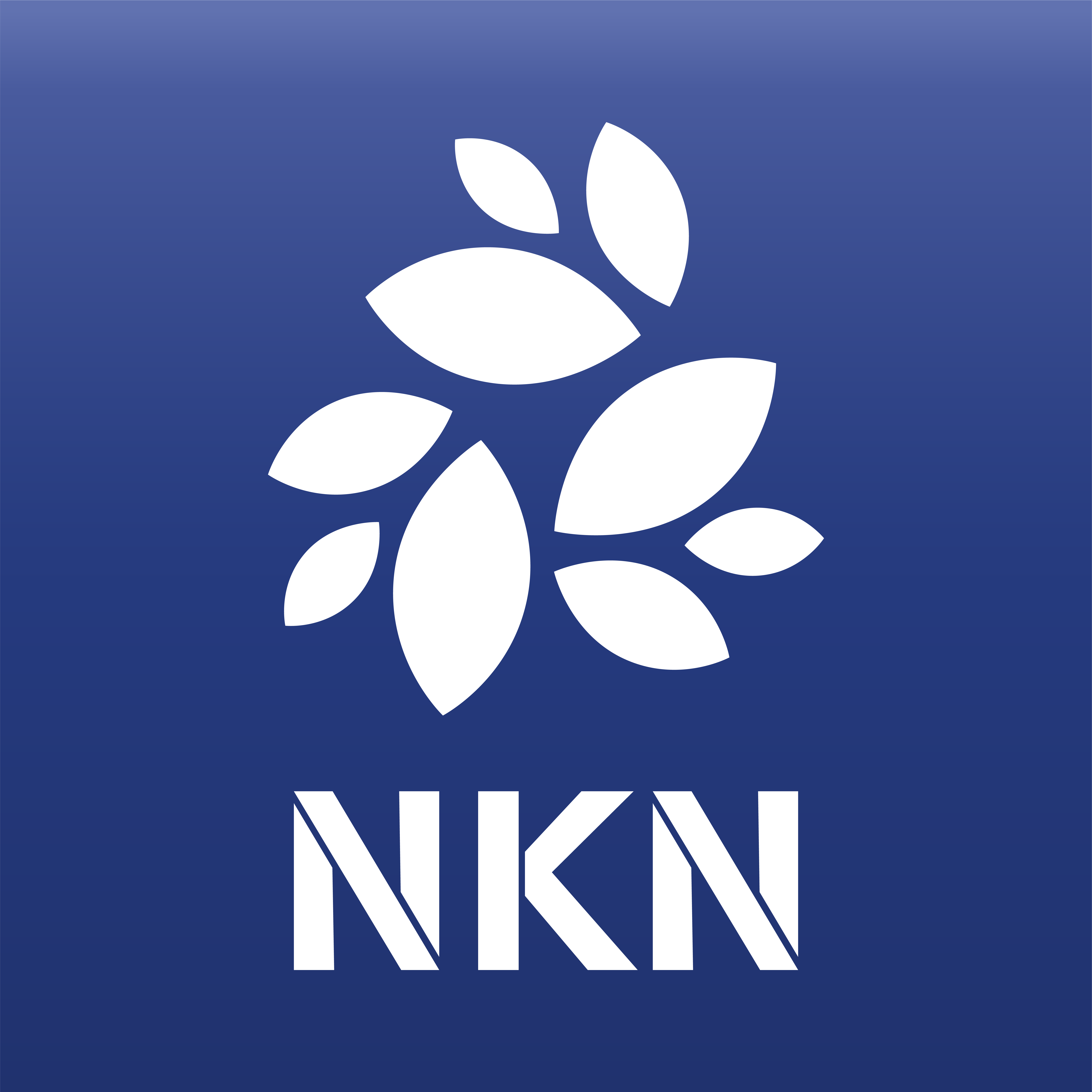 NKN In A Nutshell: A Blockchain Powered Communication Network | by Allen  Dixon | #NKN | Medium
