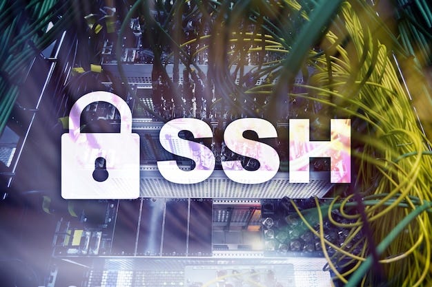 SSH : Securing Remote Access in the Post Telnet Era | by Vishvadini ...