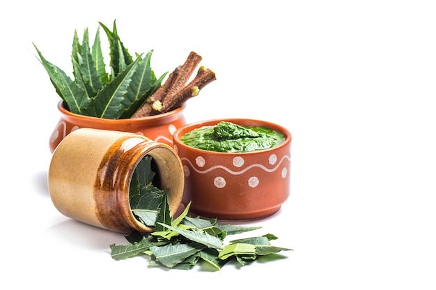 How Can You Treat Diabetes The Ayurveda Way?
