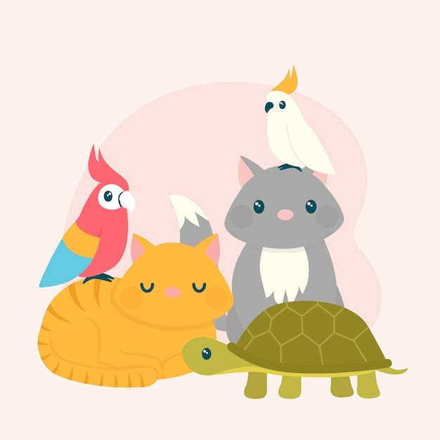 Rabbit Eye Infections vs. Other Health Issues How to Tell the