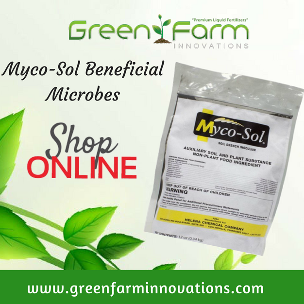 Best tomato fertilizer supply best tomato philodendron fertilizer