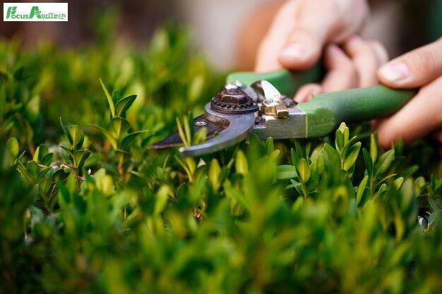 The Silent Revolution Led by Agriculture Tech Companies Across India