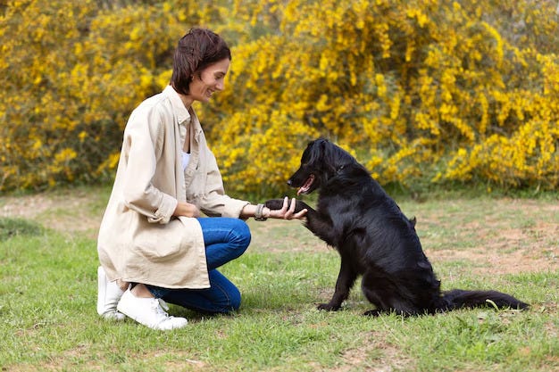 Hernando Dog Training: Improving Behavior and Creating Stronger Relationships