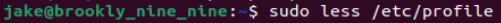 sudo less