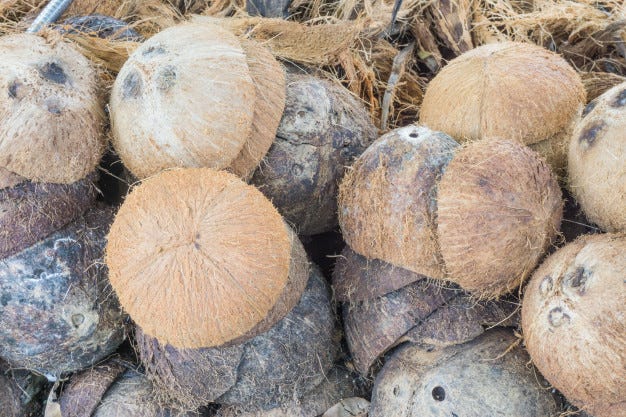 The Future of Discarded Coconut Shells: Going Beyond Waste, by Diet  Salazar