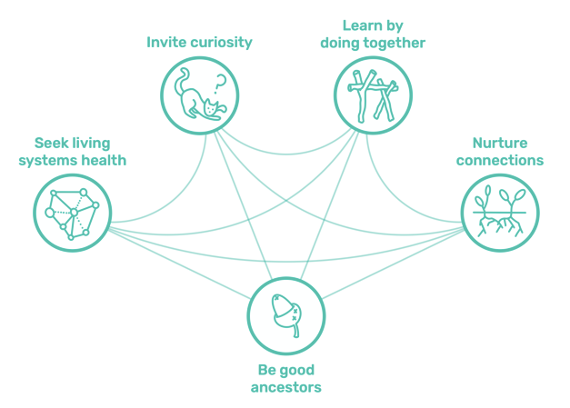 These are the shorthand icons for our five GUIDEing principles co-evolved in 2022. These have been iterated again this year to support us in being more critically engaged and intentional in our response to the Earth Crisis through re-storying our relationship with land. [Icons drawn by Holly Doron]
