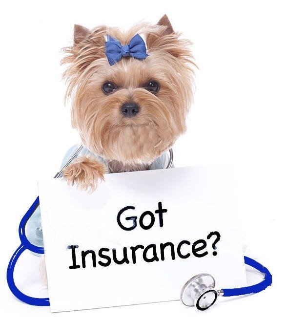 The Importance of Pet Insurance: Protecting Your Furry Friends | by Dog
