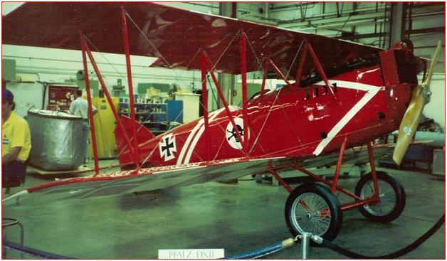 The Pfalz D.XII