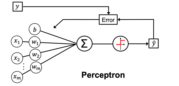 From Petals to Predictions: Mastering Perceptrons with the Iris Dataset ...