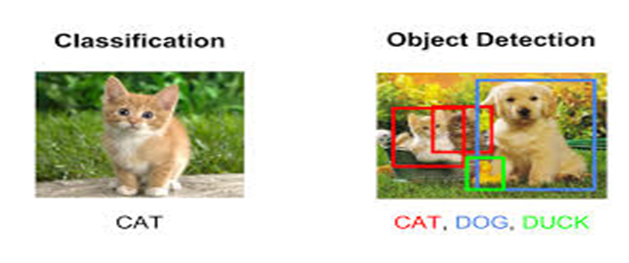 Object detection, attention, localization strength of frameworks ...