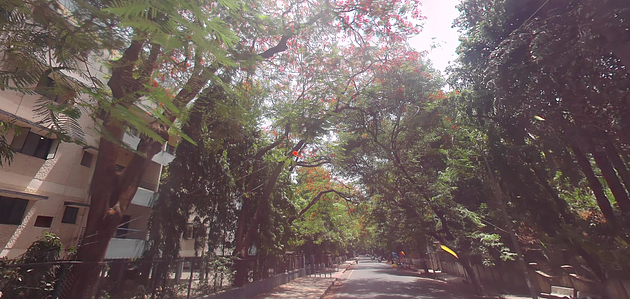 Boat Club Road