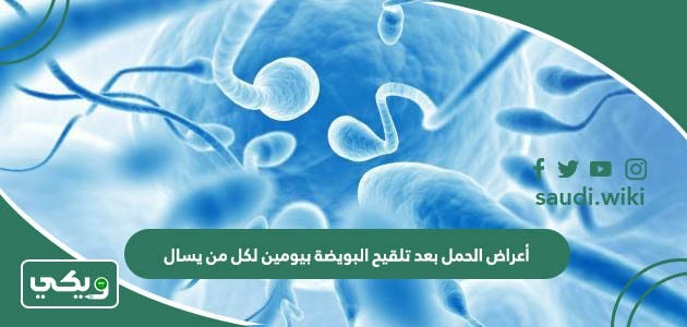 أعراض الحمل بعد تلقيح البويضة بيومين لكل من يسال | by ويكي السعودية | Jul,  2023 | Medium