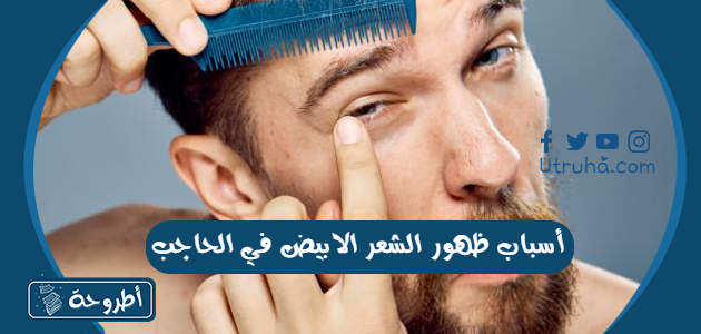 أسباب ظهور الشعر الابيض في الحاجب وكيفية علاجه | by Utruhacom | Medium
