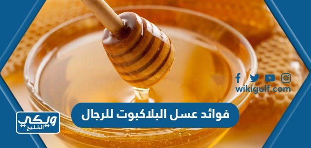 فوائد عسل البلاكبوت للرجال | by ويكي الخليج | May, 2023 | Medium