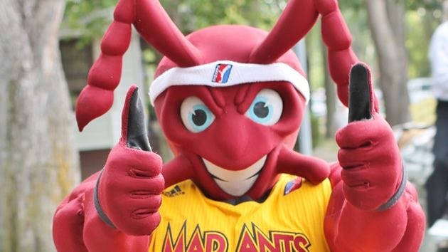 NBA G League - 🤔 Was the Fort Wayne Mad Ants' SpongeBob