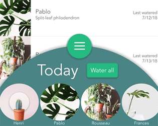 Saving my plants with a plant watering app  a UX case study | by Kaleigh  Flynn | UX Collective